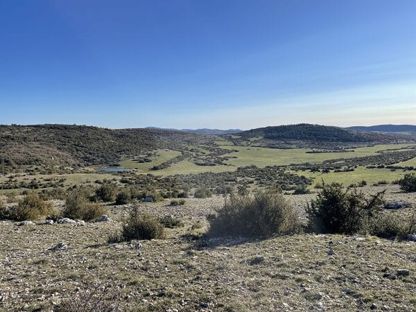 Plan des pas de tir et distances des cibles CALMELS (Hérault)